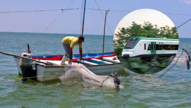 El paso del Tren Maya por Campeche impulsaría al sector pesquero, para el Colegio de Posgrados