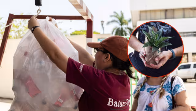 Ecoferia Balam Beh regresa a Campeche: cambia residuos por plantas, ropa o despensa; conoce dónde y cuándo será