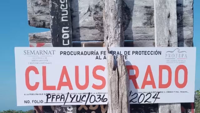 La Profepa colocó sellos en la obra en construcción en El Cuyo