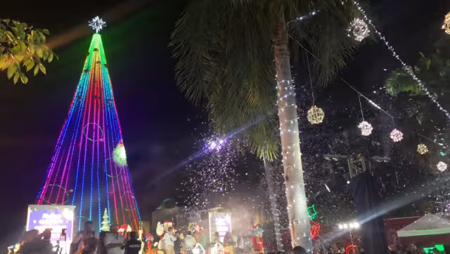 Cientos de personas se dieron cita en el encendido del árbol