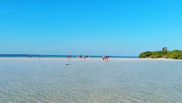 Para las próximas vacaciones auguran un importante repunte.