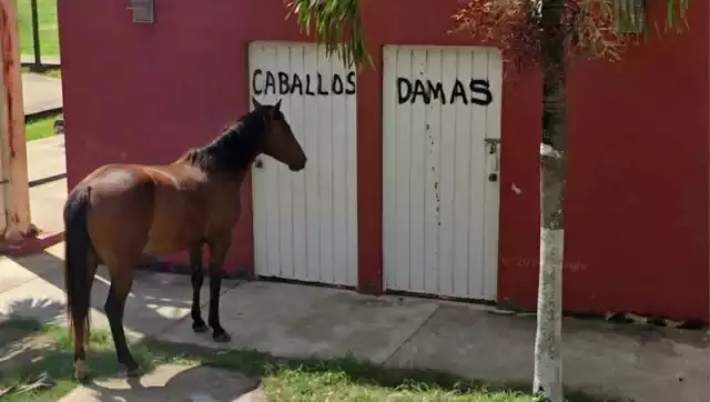 El peculiar sitio se ubica en Santa Cruz Pachón, localidad perteneciente al Pueblo Mágico de Motul