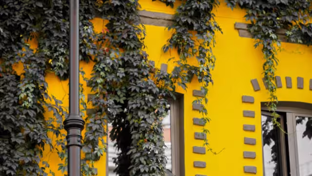 ¿Qué dice la psicología de las personas que aman el color amarillo?