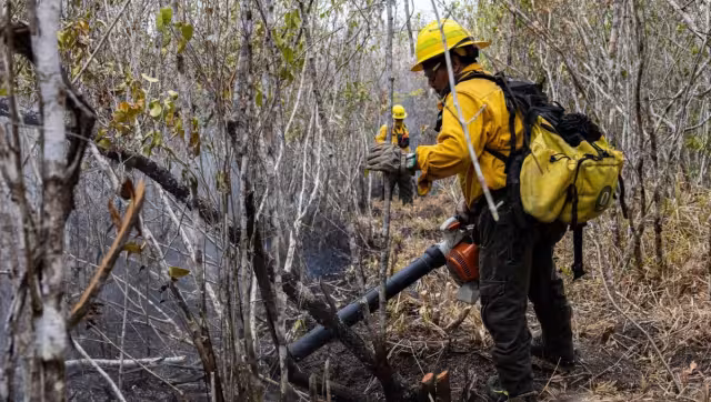 Aún no hay registro de incendios forestales