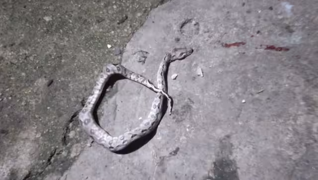 La niña fue trasladada a un hospital para ser atendida