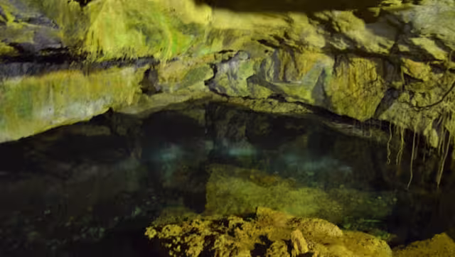 Este lugar se llama Dzoyaxché y se encuentra a 30 minutos de Mérida. 