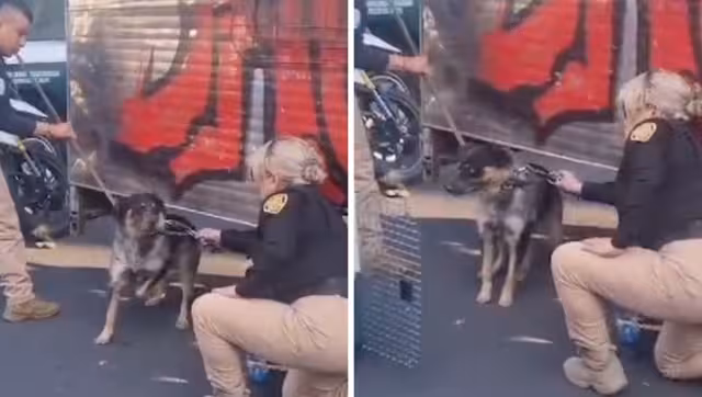 El conductor del remolque fue detenido