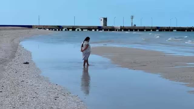 El fenómeno que causó que el mar de Celestún se alejara es natural