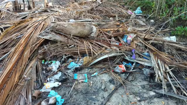 Vecinos cercanos afirmaron que muy rara la vez se realizan los trabajos de limpieza