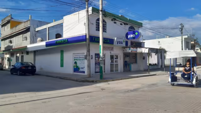 Los ladrones quedaron grabados en las cámaras de vigilancia