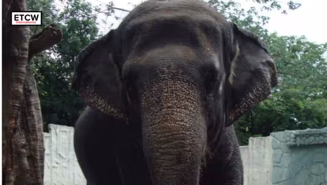 Tenía casi 50 años. Foto: Especial