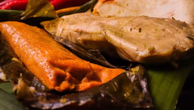 Habrá diferentes versiones del platillo en la Tamaliza Fest en Mérida
