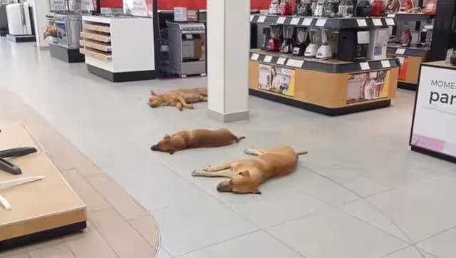 Los internautas aplaudieron la buena labor de los trabajadores