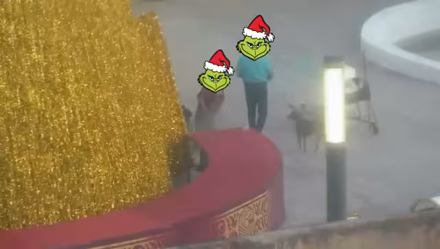 El robo ocurrió días antes del encendido oficial del árbol navideño el 1 de diciembre.