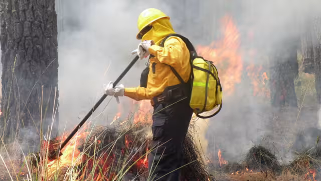 Las lluvias registradas en Campeche han reducido el índice de incendios en una semana