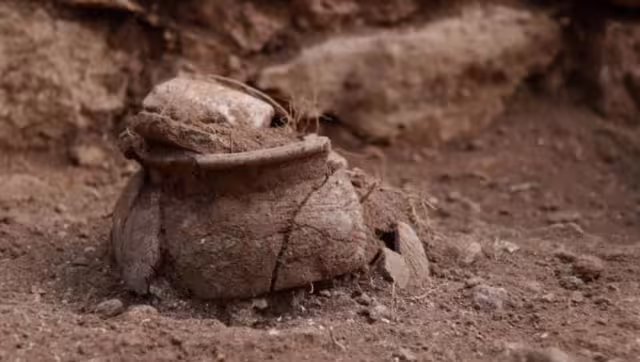 El campamento fue hallado a tres kilómetros de la costa Norte de Yucatán