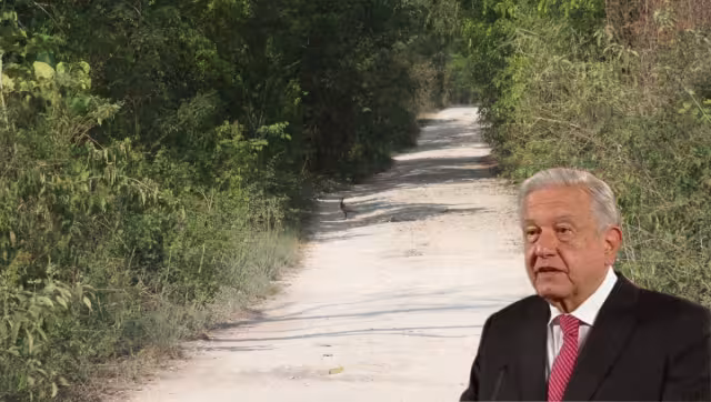 El proyecto cuenta con el respaldo presidencial