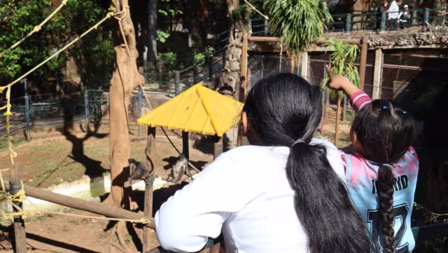 El Centenario se perfila como uno de los principales puntos de reunión durante la Semana Santa