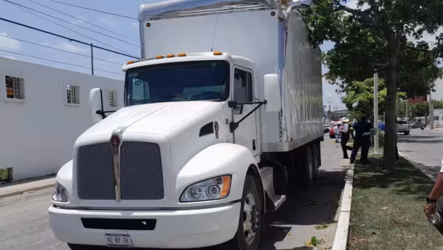 El árbol cayó al suelo y provocó a su vez un daño menor en la parte de arriba de la caja de carga