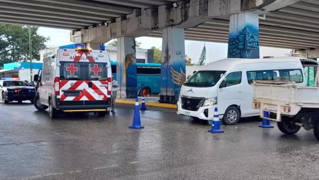 Por el golpe, la van de turismo derribó un semáforo