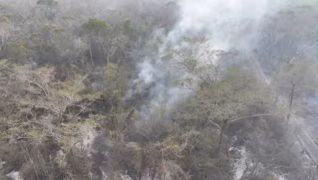 Informes de la Secretaría de Medio Ambiente, Biodiversidad, Cambio Climático y Energía