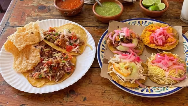 El Festival de la Chicharra y la Feria del Salbut se realizarán este fin de semana en Mérida