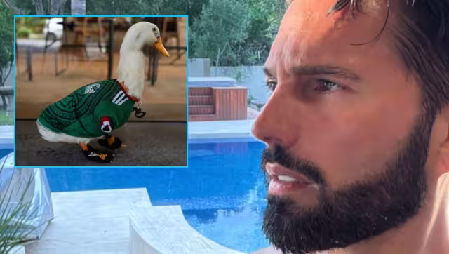 Poncho de Nigris ofrece más de medio millón de pesos por el Pato Merlín.