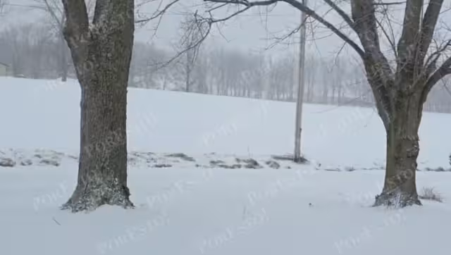 Hay serias afectaciones en Estados Unidos por la tormenta invernal