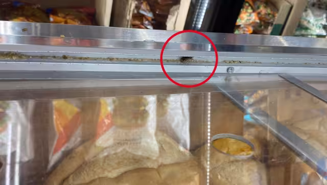 La usuaria encontró la cucaracha en Bodega Aurrera