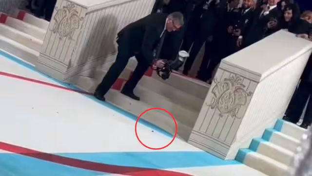 El momento en el que el fotógrafo se percató de la cucaracha. Foto: Especial