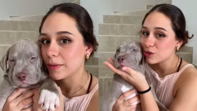 La pasajera logró recuperar a su cachorra tras la localización de VivaAerobus