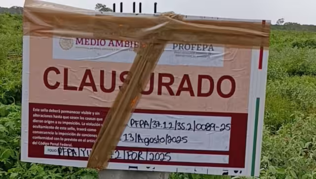 La Profepa colocó letreros de clausura en las obras en Baca