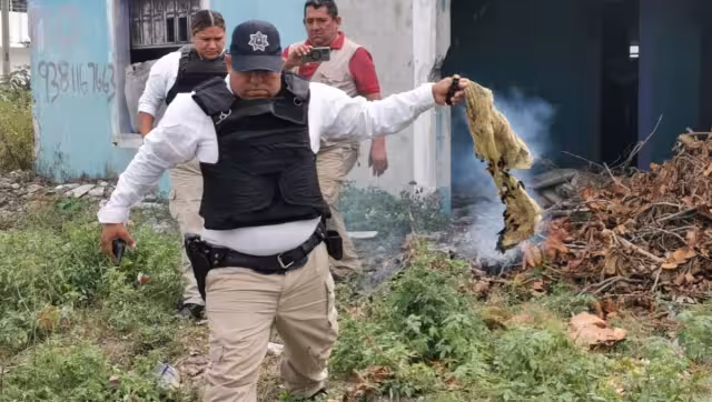 El incendio fue provocado por dejar una colilla de cigarro sobre un montón de basura