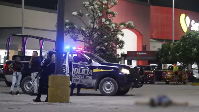 Los crímenes fueron cometidos en comercios, transporte público, viviendas, parques y hasta en avenidas transitadas.