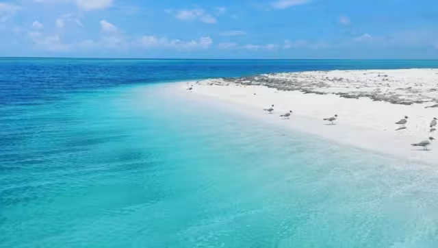 Esta playa se encuentra frente al puerto de Progreso