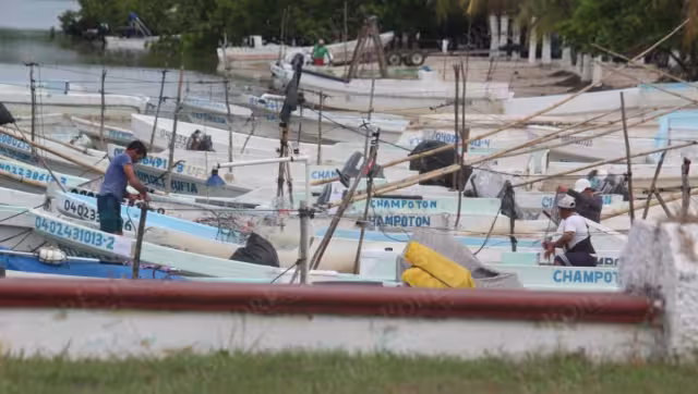 Pescadores champotoneros reportan mejores volúmenes de molusco, pero bajos precios