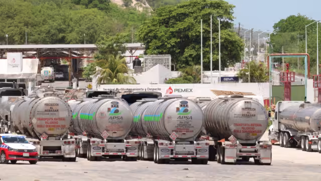 Detalló que en el 2022 proporcionaron alrededor de 105 asesorías y 125 en procesos penales federales