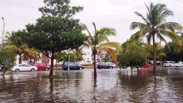 De formarse, este tomaría en el nombre de "Bret", ya que como se recuerda el primero fue "Arlene"