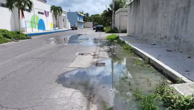 Mencionan que han denunciado la situación a la CAPA, pero no hacen nada al respecto