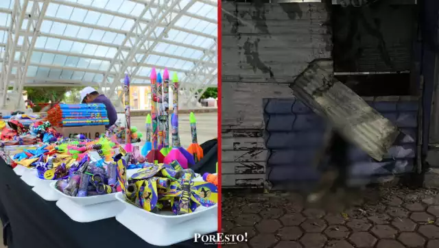 Ciudadana exige operativos contra pirotecnia tras muerte de mascota en Navidad