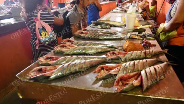 Pesca de sierra resulta rentable