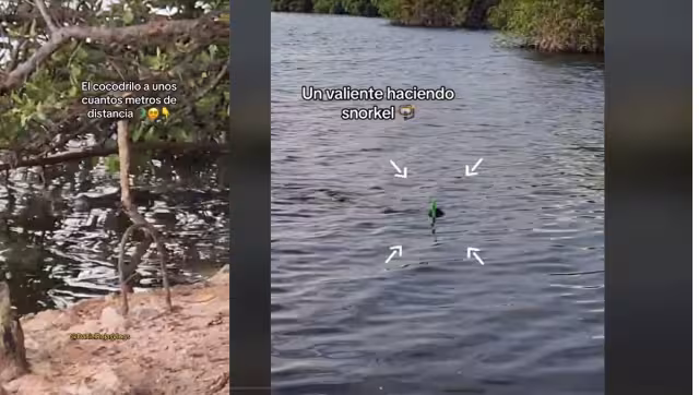 El pescador dijo que es muy a menudo se encuentra con los reptiles