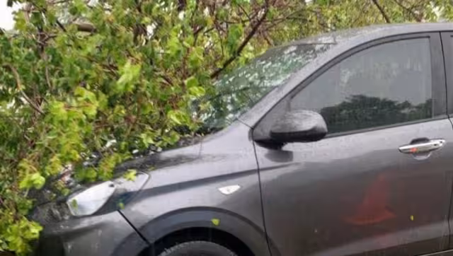 Varios árboles y ramas cayeron sobre autos estacionados en Mérida