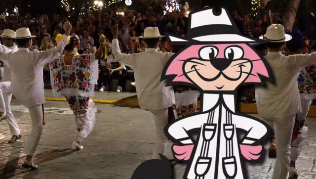 Cucho es el gato favorito de los yucatecos