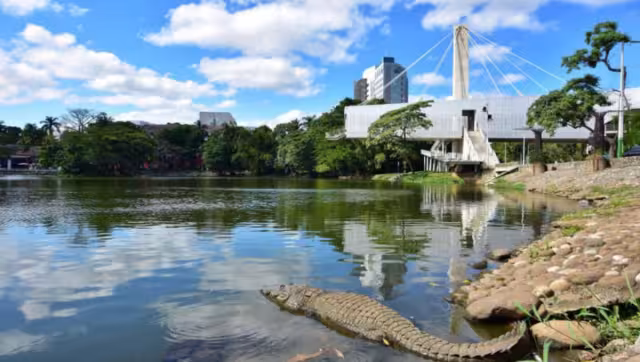 El hombre se salvó por una reja metálica