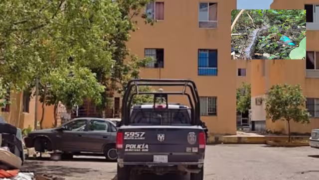 Alarmaron ante la inusual visita.