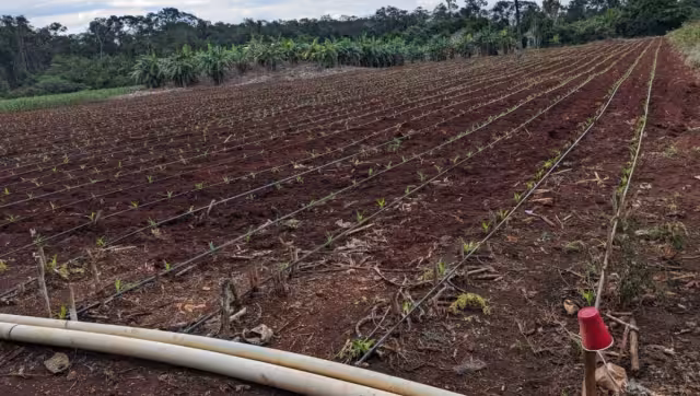 La comunidad se encuentra a 15 kilómetros de la cabecera municipal.