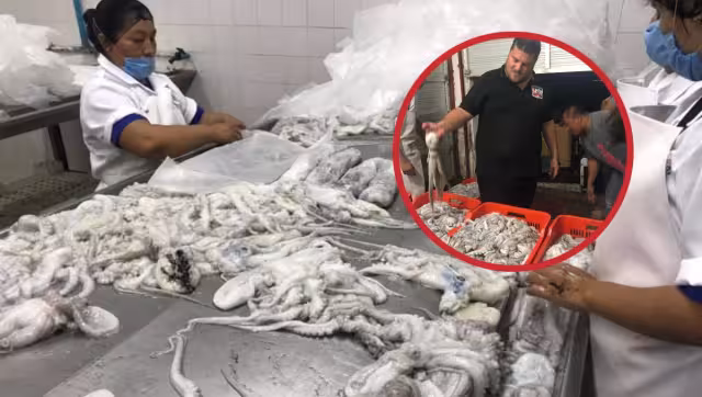 Márquez Richaud es acusado de estafar por más de 2.4 mdp a Andrés Fernández del Valle Laisequilla