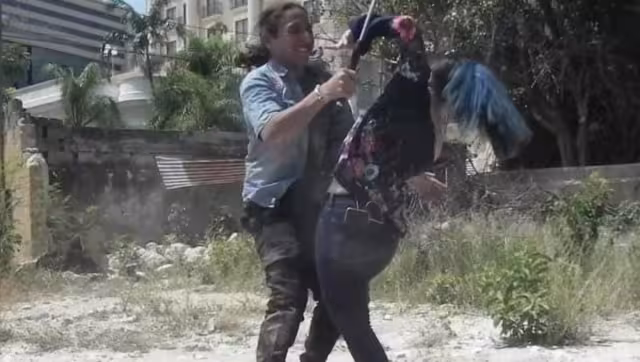 En el caso de Oscuridad, el primer capítulo ya está listo y se espera el lanzamiento de la primera parte de la serie en diciembre