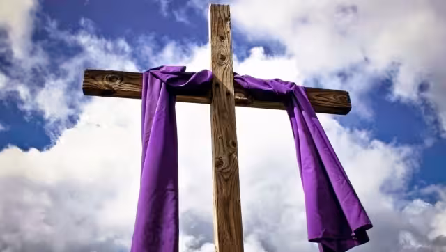 Esta es la razón por la que no se debe comer carne
